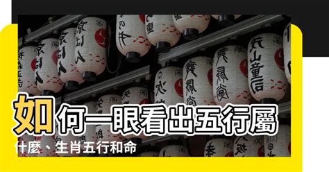 如何知道五行屬什麼|【如何知道自己五行屬什麼】你的命格、顏色、生肖五。